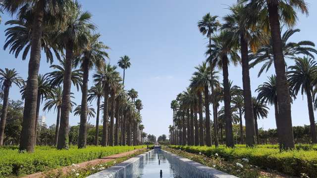 Parc de la Ligue Arabe — Arab League Park 2