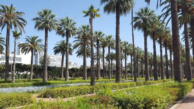 Parc de la Ligue Arabe — Arab League Park 1