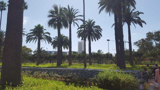 Parc de la Ligue Arabe — Arab League Park 6