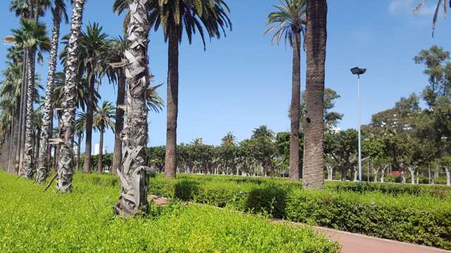 Parc de la Ligue Arabe — Arab League Park 7