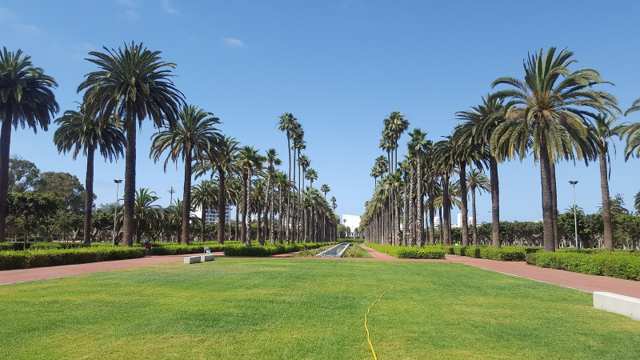 Parc de la Ligue Arabe — Arab League Park 8