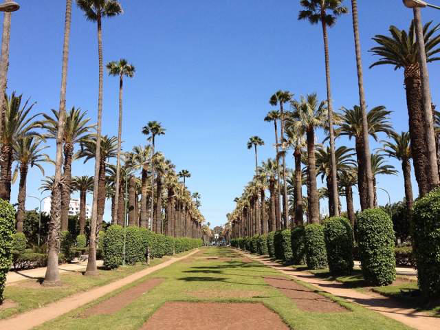 Parc de la Ligue Arabe — Parc de la Ligue Arabe Avenue
