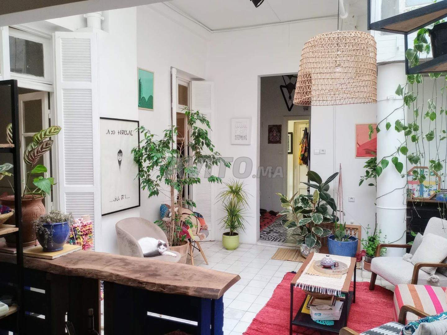 Art Deco apartment in central Casablanca — photo 4