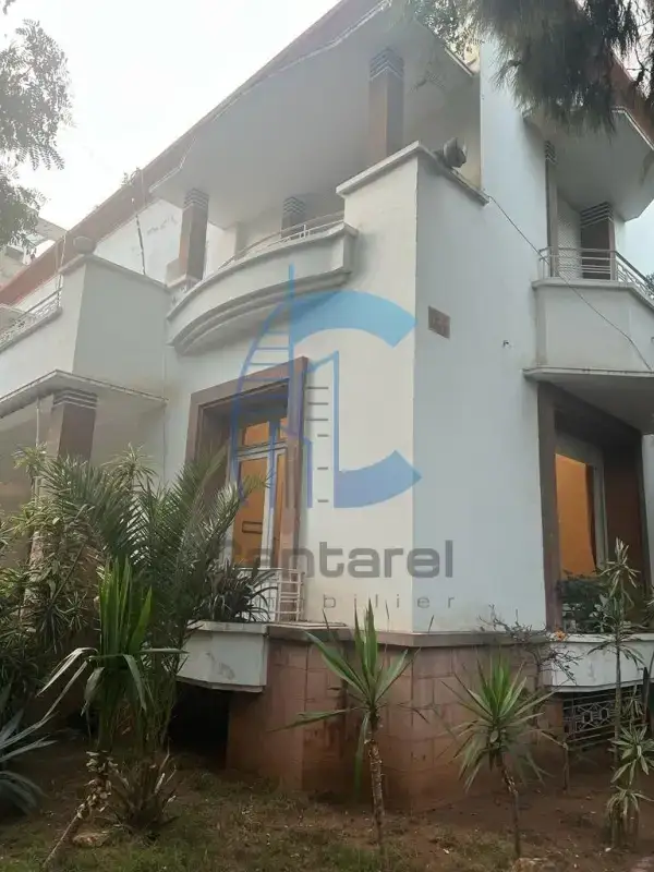 Exceptional Art Deco villa for sale, Palmier — photo 15