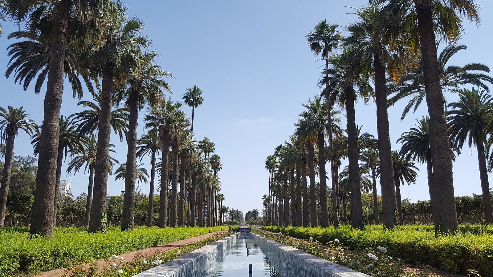 parc de la Ligue Arabe — Arab League Park 2