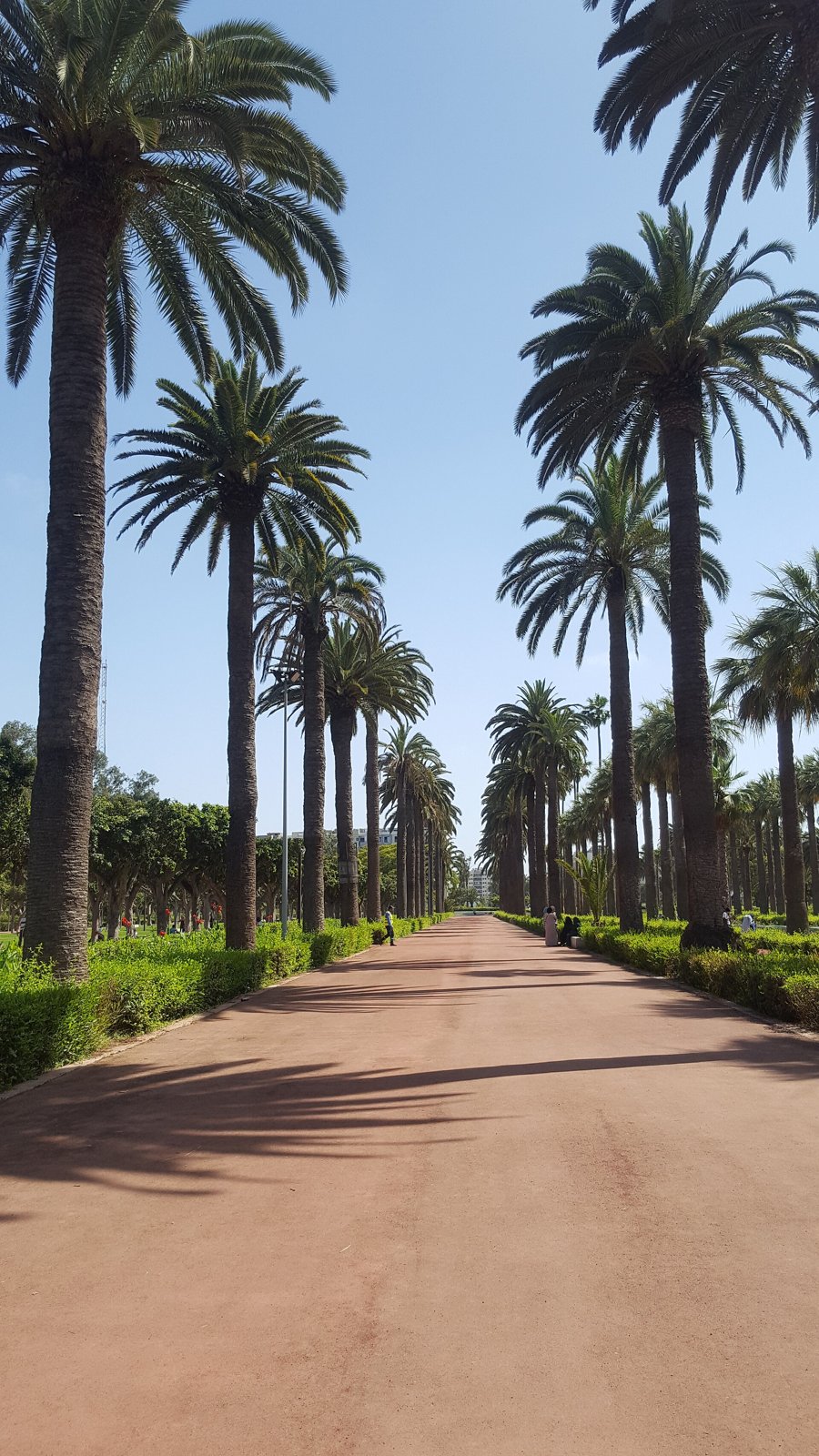 parc de la Ligue Arabe — Arab League Park 4