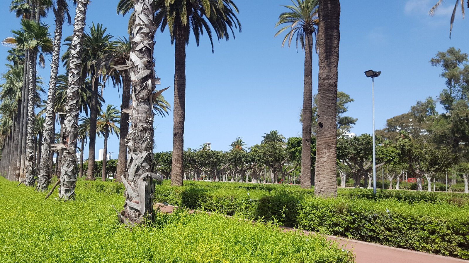 parc de la Ligue Arabe — Arab League Park 7