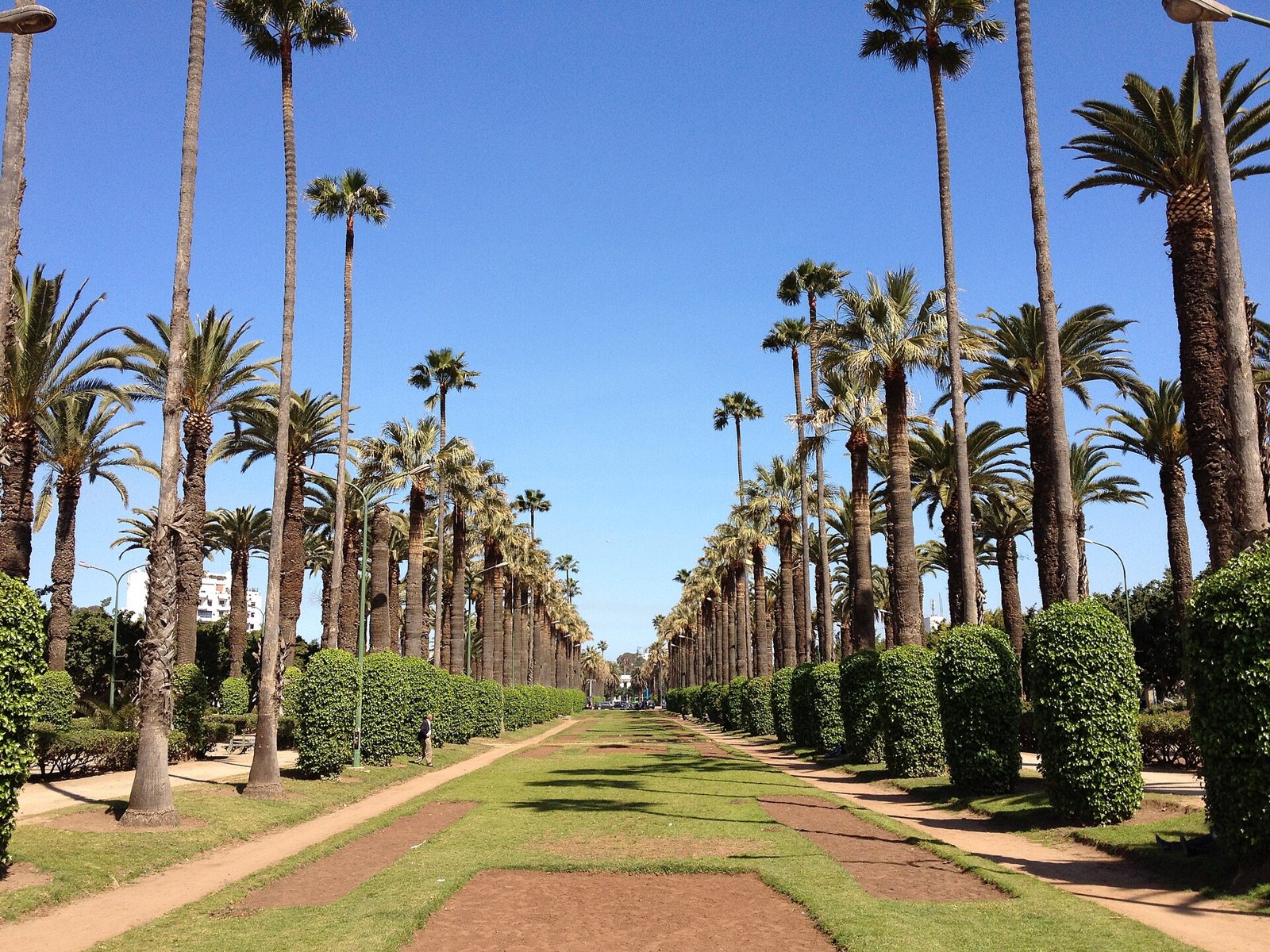parc de la Ligue Arabe