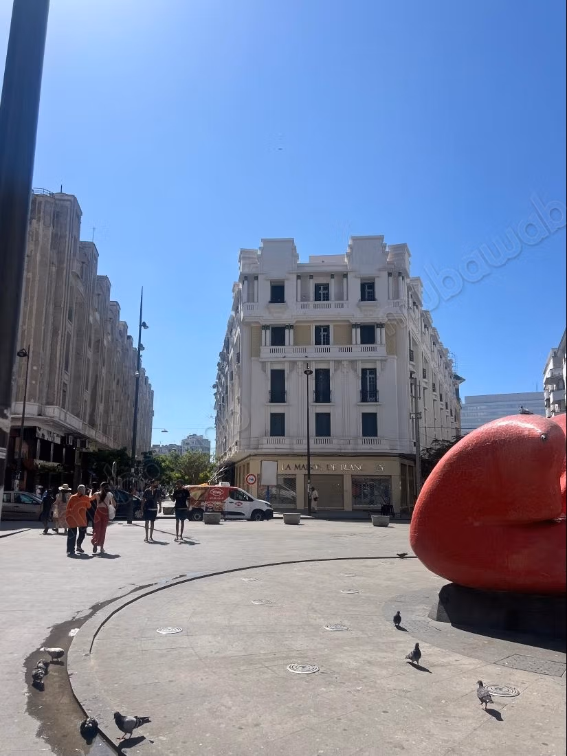 Grand Appart art déco Centre ville — photo 7