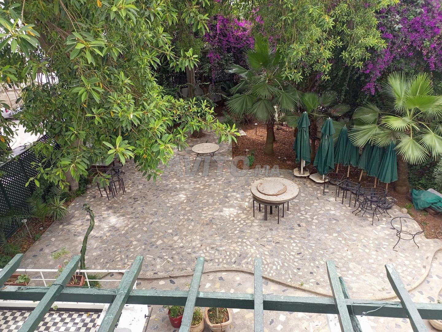 Location Local à Casablanca — photo 7